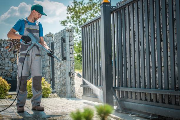 Best Gutter Cleaning  in Harlingen, TX