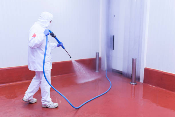 Best Rust Removal  in Harlingen, TX