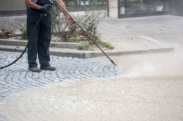 Best Sidewalk and Walkway Cleaning  in Harlingen, TX
